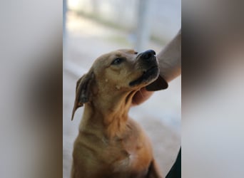 Danai, eine wundervolle Seele sucht ihre eigene Familie