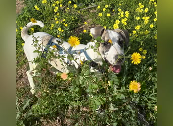 Nicolina: vom Parkplatz ins schöne Leben