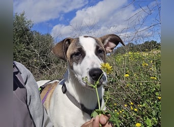 Nicolina: vom Parkplatz ins schöne Leben