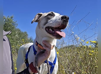 Nicoletta: vom Parkplatz ins schöne Leben