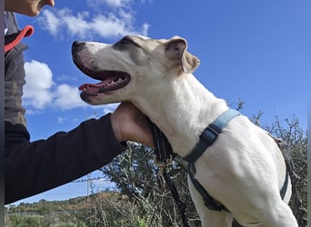 Nicoletta: vom Parkplatz ins schöne Leben