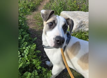 Nicoletta: vom Parkplatz ins schöne Leben