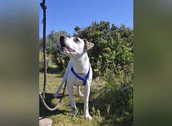 Nicoletta: vom Parkplatz ins schöne Leben