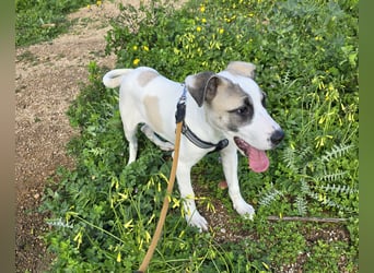 Nicoletta: vom Parkplatz ins schöne Leben