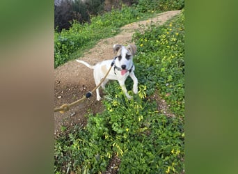 Nicoletta: vom Parkplatz ins schöne Leben