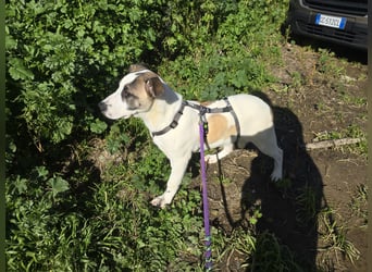 Nicolina: vom Parkplatz ins schöne Leben