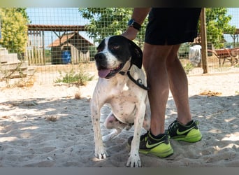 •|•  J•O•K•E•R  •|• Aktiv • Verspielt • Freundlich