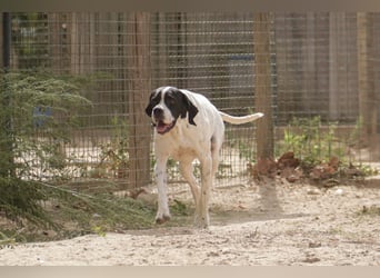 •|•  J•O•K•E•R  •|• Aktiv • Verspielt • Freundlich