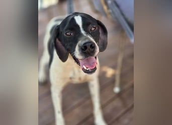 Lilly – bewegungsfreudig, sensibel und aufmerksam 