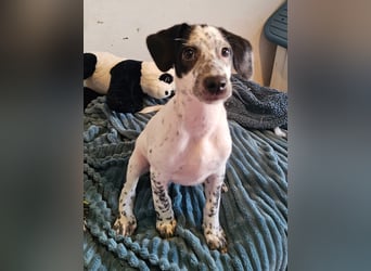 Kleine DOTTY wartet auf IHRE Menschen