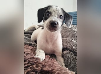 Kleine DOTTY wartet auf ihre Menschen