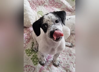 Kleine DOTTY wartet auf ihre Menschen