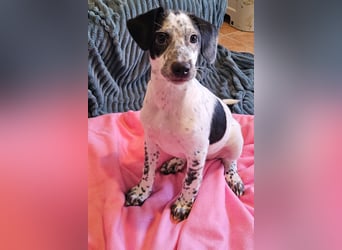 Kleine DOTTY wartet auf IHRE Menschen