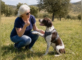 Scout – bereit für Abenteuer