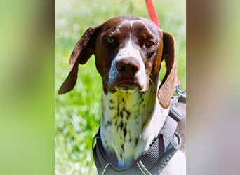 Scout – bereit für Abenteuer