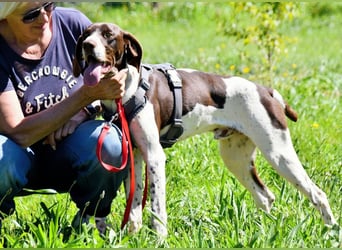 Scout – bereit für Abenteuer