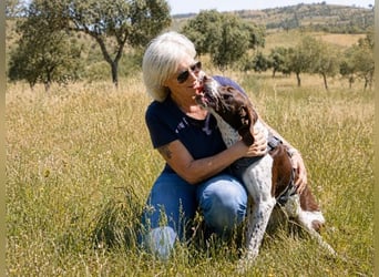 Scout – bereit für Abenteuer