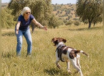 Scout – bereit für Abenteuer