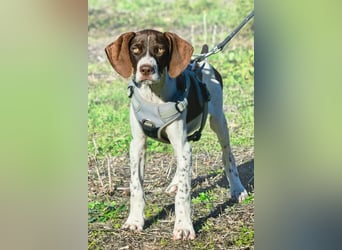 Scout – bereit für Abenteuer