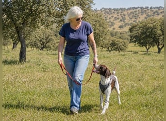 Scout – bereit für Abenteuer