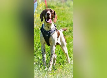 Scout – bereit für Abenteuer