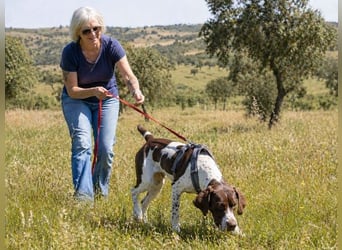 Scout – bereit für Abenteuer