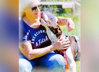 Scout – bereit für Abenteuer