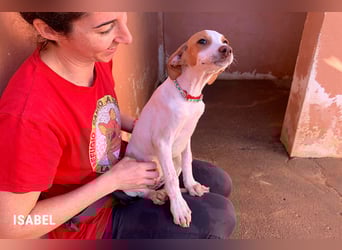 Zuckersüße Isabel für ihr Sofa