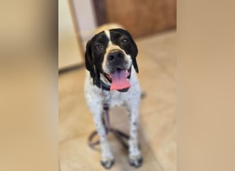 Alegra – bereit für Abenteuer ❤️