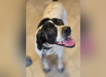 Alegra – bereit für Abenteuer ❤️