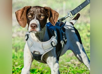 Scout – bereit für Abenteuer