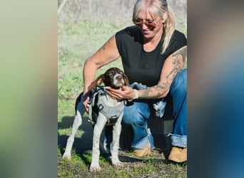 Scout – bereit für Abenteuer