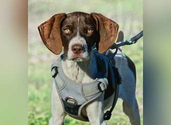 Scout – bereit für Abenteuer