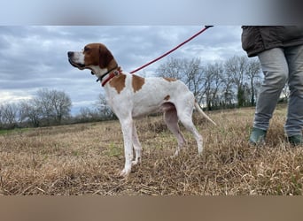 Lucio -  sucht Nähe und Wärme