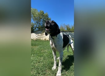 Arno - Zarte Seele sucht ein Zuhause