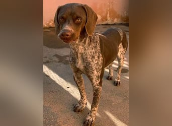 NIKA das Schockomädchen