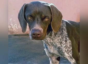 NIKA das Schockomädchen