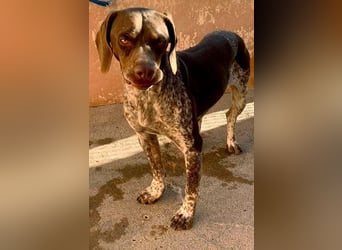 NIKA das Schockomädchen