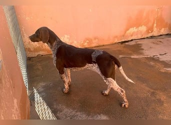 NIKA das Schockomädchen