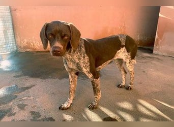 NIKA das Schockomädchen