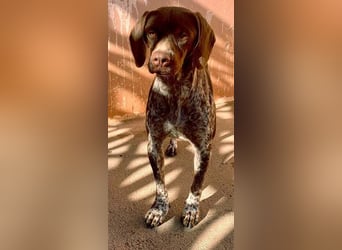 NIKA das Schockomädchen