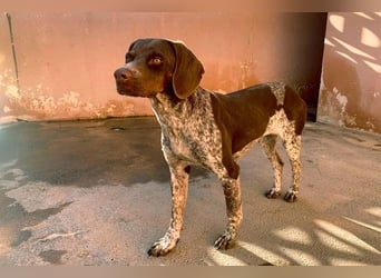 NIKA das Schockomädchen