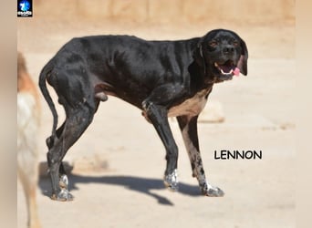 ❤️ LENNON ❤️