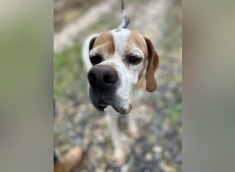 Matilda - sanft und anschmiegsam