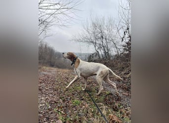 Matilda - sanft und anschmiegsam