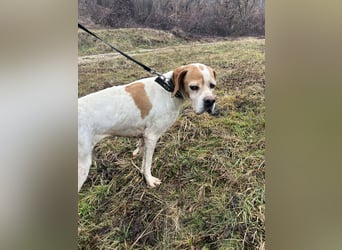 Matilda - sanft und anschmiegsam