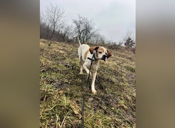 Matilda - sanft und anschmiegsam