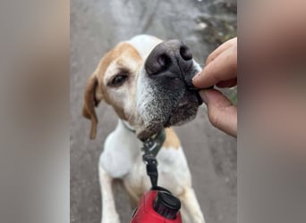 Matilda - sanft und anschmiegsam