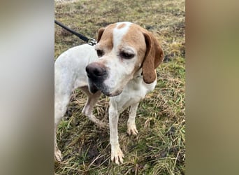 Matilda - sanft und anschmiegsam