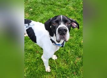 Dalton - Zeit endlich zur Ruhe zu kommen